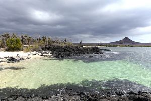 Dragon Hill, Santa Cruz Island, Galapagos 006.jpg